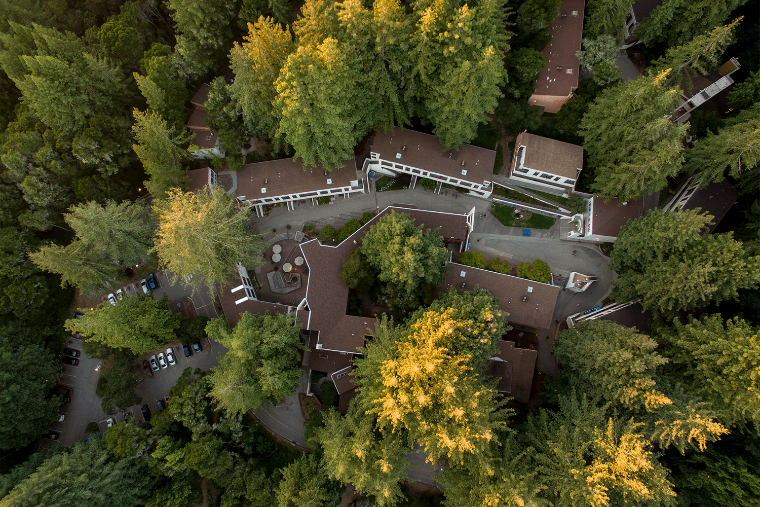 Aerial view of buildings with brown roofs, surrounded by trees