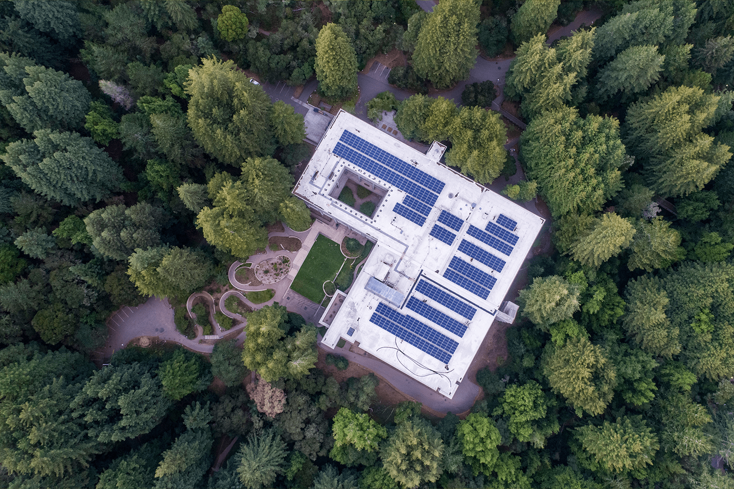Aerial view: building with white roof with blue, surrounded by trees.