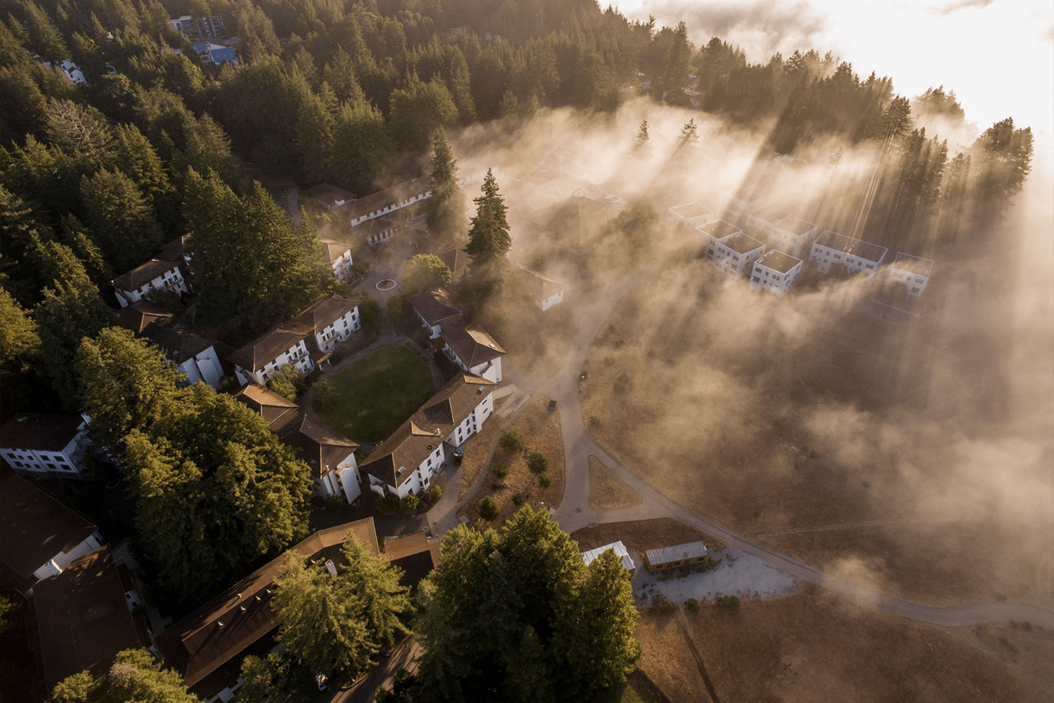 Drone shot of buildings in the trees with fog. 