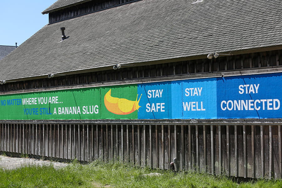 Sign on the side of barn with hand pained image of a slug, and the words: "Stay Safe, Stay Well, Stay Connected."